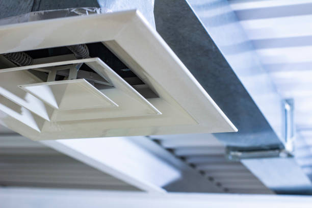 Best Air Duct Inspection  in Coal City, IL