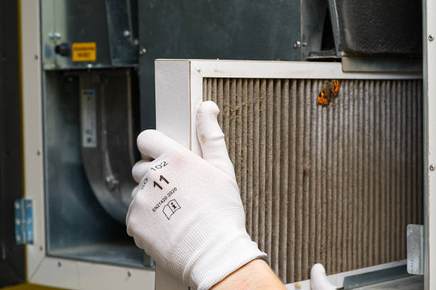 Best Local Air Duct Cleaning Services  in Coal City, IL