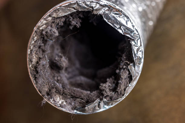 Best Air Vent Cleaning Services  in Coal City, IL