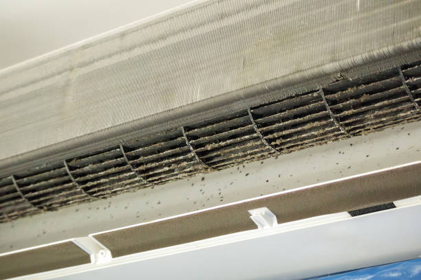 Best Air Duct Cleaning Near Me  in Coal City, IL